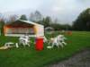 Koninginnedag 2010 002_small.jpg